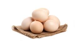 बाजार में मिल रहा है प्लास्टिक का अंडा,  इस तरह पता करें कौन सा है असली