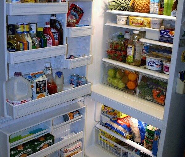 ਰਿਅਰ ਫ਼ੈਨ ਵੈਂਟ: ਫਰਿੱਜ ਦੇ ਪਿਛਲੇ ਪਾਸੇ ਇੱਕ ਛੋਟਾ ਪੱਖਾ ਲੱਗਿਆ ਹੁੰਦਾ ਹੈ ਜੋ ਗਰਮ ਹਵਾ ਨੂੰ ਬਾਹਰ ਕੱਢਦਾ ਹੈ। ਅਜਿਹੀ ਸਥਿਤੀ ਵਿੱਚ, ਹਮੇਸ਼ਾ ਇਹ ਦੇਖੋ ਕਿ ਪਿੱਛੇ ਵਾਲਾ ਪੱਖਾ ਠੀਕ ਤਰ੍ਹਾਂ ਕੰਮ ਕਰ ਰਿਹਾ ਹੈ ਜਾਂ ਨਹੀਂ। ਜੇਕਰ ਪੱਖਾ ਕੰਮ ਨਹੀਂ ਕਰਦਾ ਹੈ, ਤਾਂ ਪੱਖੇ ਦੀ ਮੁਰੰਮਤ ਕਰਵਾਉਣ ਲਈ ਕਿਸੇ ਟੈਕਨੀਸ਼ੀਅਨ ਨੂੰ ਕਾਲ ਕਰੋ।