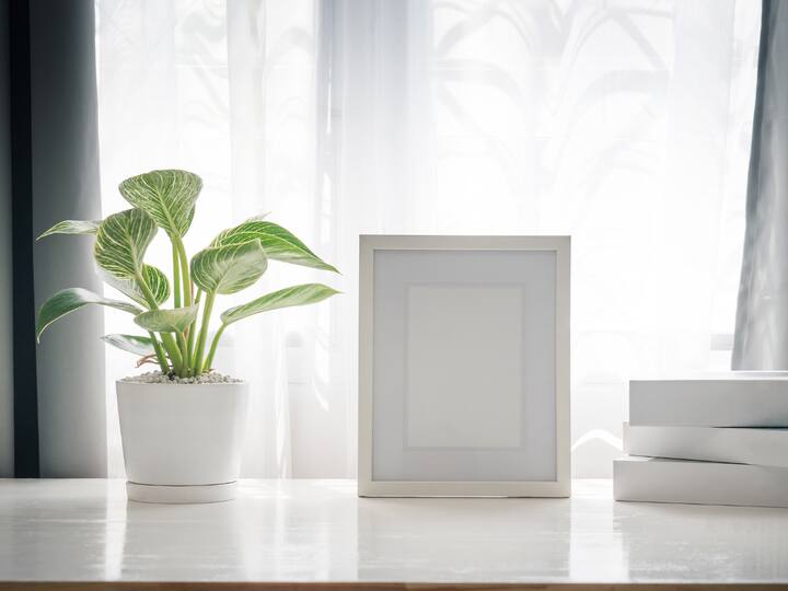 2. Embrace the Power of Plants: Studies have shown that incorporating plants into your workspace can boost creativity, reduce stress, and even purify the air. A well-placed snake plant or a spider lily on your desk can add a touch of life and serenity to your home office. (Image source: getty images)
