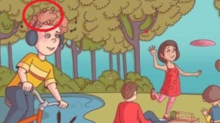 अगर आप हिप्पो को नहीं खोज पाए तो हम आपको इसका सही जवाब बता रहे हैं.