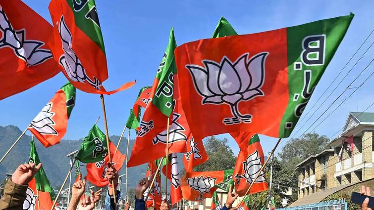 BJP leader Bharat Kanabar post on social media argues logic, know live updates of Gujarat Lok Sabha Lok sabha Election 2024 Live Update: લાચારીનું બીજું નામ શિસ્ત, કાયરતાનું વફાદારી,  ભાજપના જ નેતાની પોસ્ટથી ખળભળાટ