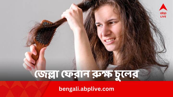 Dry Frizzy Hair Remedies: গরম আর ধুলোবালির কারণে চুল রুক্ষ শুষ্ক হয়ে যায়। ঘরোয়া উপাদান যেমন ডিম ও অন্যান্য জিনিসের সাহায্যে এই সমস্যার থেকে মুক্তি পাওয়া যায়।