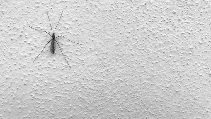 आसान भाषा में कहें तो सबसे खतरनाक मच्छर होते हैं. क्योंकि मच्छरों के काटने से सबसे घातक संक्रामक रोग मलेरिया होता है. वहीं मलेरिया लंबे समय से इंसानों के लिए जानलेवा बीमारी है.