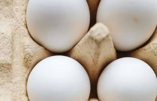 ਜਦੋਂ ਤੁਸੀਂ ਆਂਡਾ ਖਰੀਦ ਰਹੇ ਹੋ, ਤਾਂ ਇਸ ਨੂੰ ਧਿਆਨ ਨਾਲ ਹਿਲਾਓ। ਜੇਕਰ ਅੰਡੇ ਦੇ ਅੰਦਰੋਂ ਕੋਈ ਆਵਾਜ਼ ਆ ਰਹੀ ਹੈ ਤਾਂ ਸਮਝੋ ਕਿ ਆਂਡਾ ਨਕਲੀ ਹੈ। ਜੇਕਰ ਆਵਾਜ਼ ਨਹੀਂ ਆ ਰਹੀ ਤਾਂ ਸਮਝੋ ਕਿ ਇਹ ਅਸਲੀ ਹੈ।