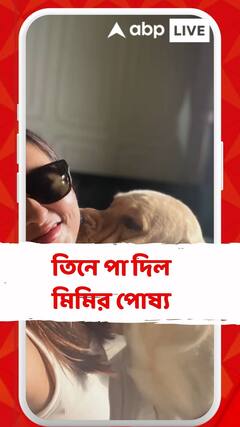 তিনে পা দিল মিমির পোষ্য, কেক কেটে হল সেলিব্রেশন