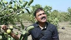 'एक दिवसाचा मुख्यमंत्री झालो तर...' मकरंद अनासपुरे म्हणाले..