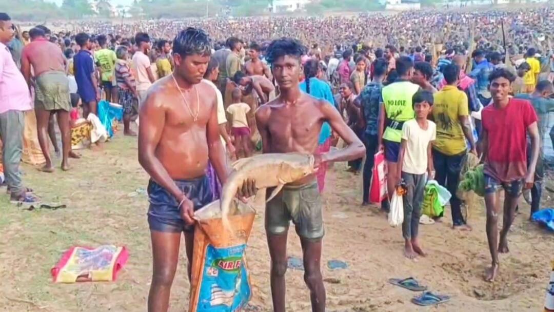 Fishing festival:  போர் வீரர்கள் போல் மீன்களை அள்ளிய சிவகங்கை மக்கள் - களைகட்டிய மீன்பிடி திருவிழா