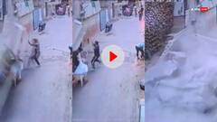 हरियाणा के गुरुग्राम में श्मशान घाट की दीवार गिरने से हादसा, बच्चे समेत 4 लोगों की मौत