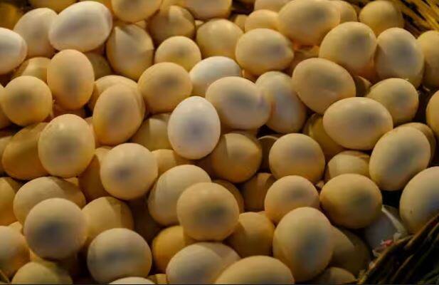 ਬਾਜ਼ਾਰ 'ਚ ਮਿਲਣ ਵਾਲੇ ਨਕਲੀ ਅੰਡੇ ਖਾਣ ਨਾਲ ਸਿਹਤ 'ਤੇ ਬੁਰਾ ਪ੍ਰਭਾਵ ਪੈਂਦਾ ਹੈ। ਅੱਜ ਅਸੀਂ ਤੁਹਾਨੂੰ ਦੱਸਾਂਗੇ ਕਿ ਤੁਸੀਂ ਨਕਲੀ ਅਤੇ ਅਸਲੀ ਅੰਡੇ ਵਿੱਚ ਕਿਵੇਂ ਫਰਕ ਕਰ ਸਕਦੇ ਹੋ।