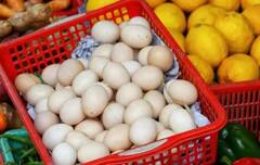 ਬਾਜ਼ਾਰ 'ਚ ਮਿਲ ਰਹੇ ਨੇ ਪਲਾਸਟਿਕ ਦੇ ਆਂਡੇ, ਇਸ ਤਰ੍ਹਾਂ ਜਾਣੋ ਕਿਹੜਾ ਅਸਲੀ