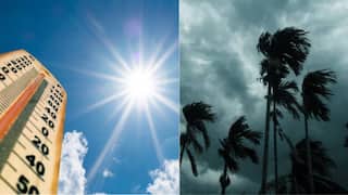 Weather Update : कुठे ऊन, कुठे पाऊस! दक्षिण कोकणासह मराठवाडा आणि विदर्भात पावसाची शक्यता, या भागात उष्णतेची लाट