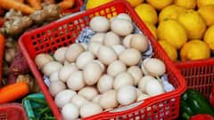 बाजार में मिल रहा है प्लास्टिक का अंडा,  इस तरह पता करें कौन सा है असली