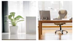 6 Essential Decor Pieces For A Productive Work Environment At Home