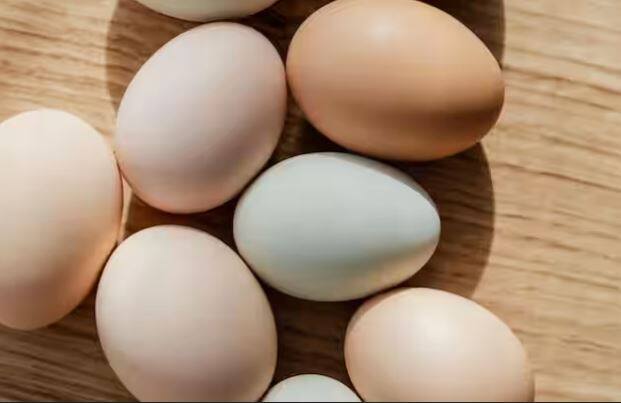 ਜੇਕਰ ਅੰਡੇ ਬਹੁਤ ਚਮਕਦਾਰ ਹੈ. ਫਿਰ ਸਮਝੋ ਕਿ ਆਂਡਾ ਨਕਲੀ ਹੋ ਸਕਦਾ ਹੈ। ਇਸ ਲਈ ਘੱਟ ਚਮਕਦਾਰ ਅੰਡੇ ਖਰੀਦੋ