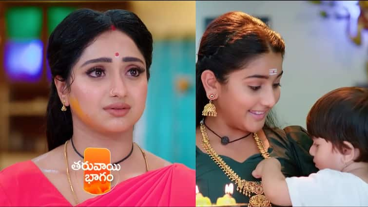 trinayani serial today april 20th episode written update in telugu Trinayani Serial Today April 20th: 'త్రినయని' సీరియల్: గాయత్రీ జాడ కోసం వెళ్తున్న నయనికి గర్భిణిగా మారి డెలివరీ చేయమన్న విశాలాక్షి.. తల లేని దేవతకు పూజ!