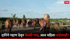 दागिने विकून गाय घेतली, आता मेहनतीच्या जोरावर झाली करोडपती; महिलेच्या जिद्दीला देशाचा सलाम!