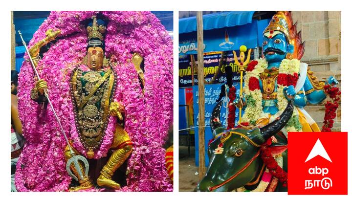 Mayiladuthurai Thirukkadaiyur temple Ema Samharam festival Devotees participated - TNN Thirukkadaiyur Temple: எமன் உயிரை எடுத்த சிவன்; திருக்கடையூர் கோயில் ஐதீக நிகழ்வு