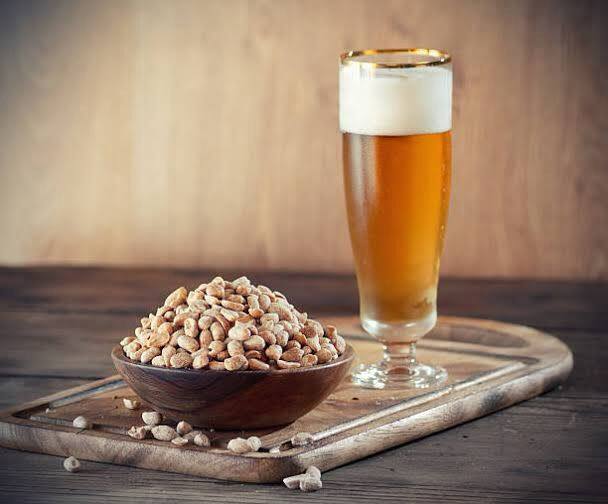 best chakna with beer why most people like peanuts with beer there is amazing science behind it Peanuts with Beer- ਬੀਅਰ ਦੇ ਨਾਲ ਜ਼ਿਆਦਾਤਰ ਲੋਕ ਮੂੰਗਫਲੀ ਹੀ ਕਿਉਂ ਪਸੰਦ ਕਰਦੇ ਹਨ, ਜਾਣੋ ਇਸ ਪਿੱਛੇ ਹੈਰਾਨੀਜਨਕ ਵਿਗਿਆਨ...