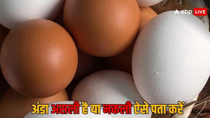 Eggs :  मार्केट में जिस तरह हर चीज में मिलावट देखने को मिल रही है. उसी तरह अंडों में भी अब मिलावट आने लगी है. मार्केट में असली अंडो के साथ नकली अंडे भी मिल रहे हैं. इस तरह पता करें असली नकली में फर्क.