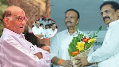 माढ्याचा तिढा सुटल्यानंतर उत्तम जानकरांना शरद पवारांचं पहिलं गिफ्ट; विधानसभेची उमेदवारी जाहीर