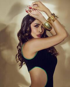 आईच्या दुसऱ्या लग्नाची वाट पाहतोय मालयकाचा लेक अरहान खान!