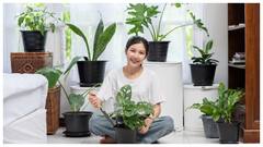 गर्मी से राहत दिलाएंगे ये पौधे, घर में जरूर लगाएं