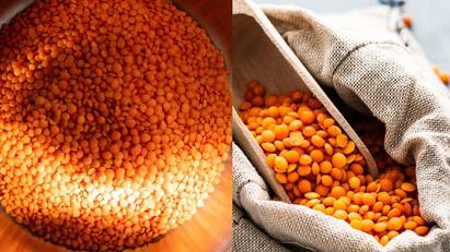 Masoor Dal : மசூர் தால் சாப்பிடுவதால் கிடைக்கும் நன்மைகளையும், அளவுக்கு அதிகமாக சாப்பிட்டால் ஏற்படும் பக்க விளைவுகளையும் காணலாம்.