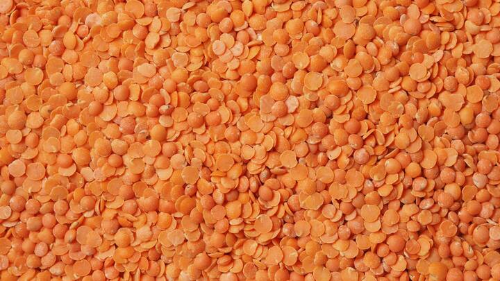 இந்திய சமையல்களில் மசூர் பருப்பு பரவலாக பயன்படுத்தப்பட்டு வருகிறது. அதிக புரதம், குறைவான கலோரி கொண்ட இதை, உடல் எடையை குறைக்கும் டயட்டில் சேர்த்து கொள்கின்றனர்.