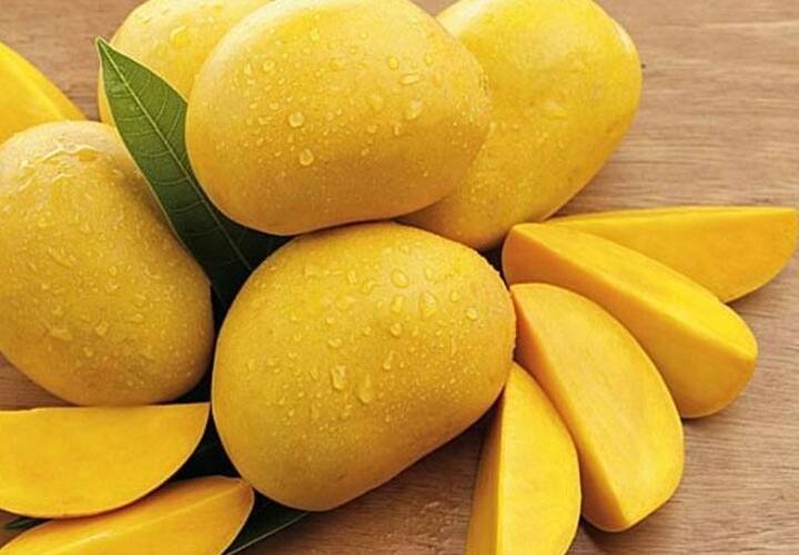Agriculture News 30 to 40 percent hike in mango prices nagpur news आंबा महागला! दरात 30 ते 40 टक्क्यांची वाढ, प्रतिकिलोला मिळतोय 'एवढा' दर 