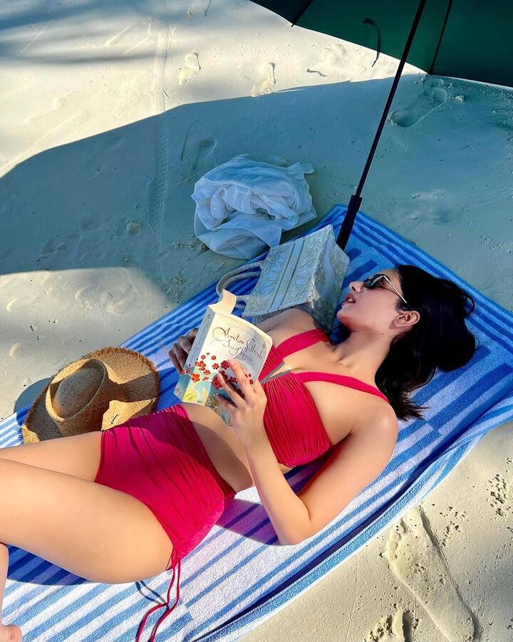 भारत ने दुनिया को पांच मिस वर्ल्ड दिए. इनमें ऐश्वर्या राय बच्चन, सुष्मिता सेन, प्रियंका चोपड़ा, लारा दत्ता, रीता फारिया और मानुषी छिल्लर का नाम शामिल है. इनमें से कुछ अदाकाराओं का नाम टॉप एक्ट्रेसेस में शुमार होता है तो कुछ एवरेज और कोई तो ऐसी है जिन्होंने जितनी भी फिल्मों में काम किया सभी फ्लॉप रहीं.