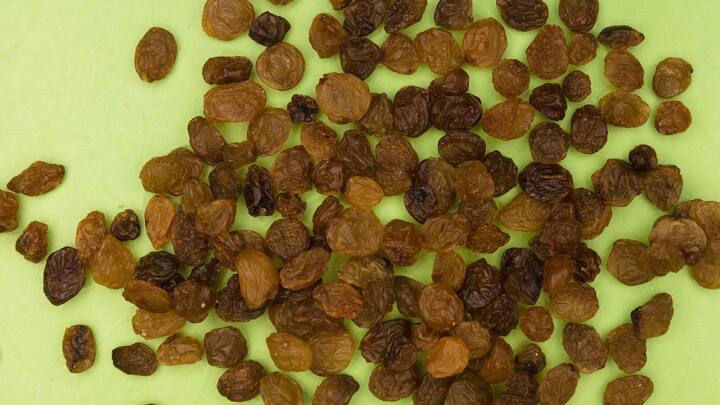 உலர் திராட்சையில் கொழுப்பு குறைவு, அதே சமயம் உலர் திராட்சையில் நார் சத்து நிறைந்திருக்கிறது. இதனை இரவில் தூங்க செல்லும் முன் சாப்பிடும் போது நீண்ட நேரம் பசி எடுக்காமல் பார்த்துக்கொள்ளும் . இது ஒருவகையில் எடையைக் கட்டுப்படுத்த உதவுகிறது