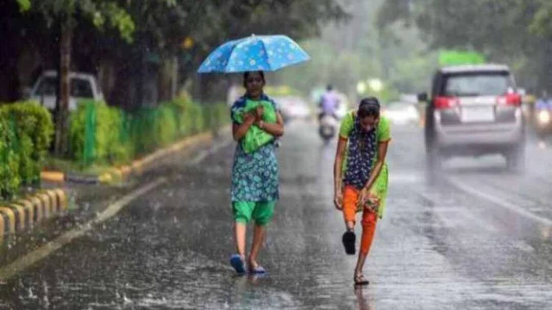 TN Rain Alert: அடுத்த 2 நாட்களுக்கு கோடை மழை! எந்தெந்த பகுதிகளில்? வெயில் எப்படி இருக்கும்?