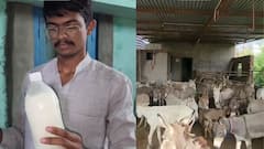 గవర్నమెంట్ జాబ్ రాలేదని గాడిదల ఫామ్ పెట్టాడు, ఇప్పుడు నెలకి రూ.3 లక్షల సంపాదన