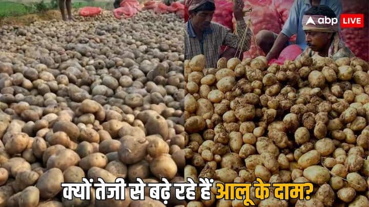 Potato prices have started rising again many places the rates are more than Rs 35 per kg what is the reason of price hikes फिर से बढ़ने लगे आलू के दाम, कई जगह 35 रुपये किलों से ज्यादा हैं रेट, क्या है वजह