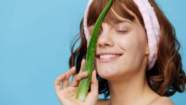 aloevera gel benefits and drawbacks know how many time can we use in a day एक हफ्ते में कितनी बार एलोवेरा जेल लगाना चाहिए? क्या रोजाना लगाना हो सकता है खतरनाक?