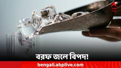 Ice Water: যখন তখন বরফ জলে চুমুক! ক্ষতি ডেকে আনছেন না তো?
