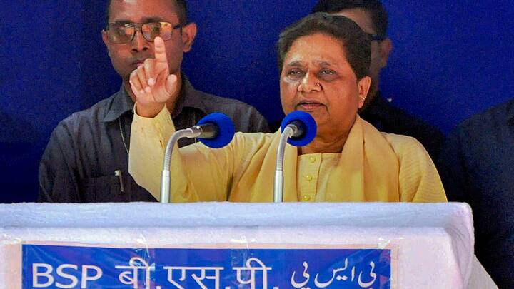Lok Sabha Election 2024 BSP chief Mayawati addresses Election Campaign Rally Amroha attack Kunwar Danish Ali ANN UP Lok Sabha Election 2024: 'उसने जनता के साथ विश्वासघात किया', अमरोहा में मायावती ने कुंवर दानिश अली पर साधा निशाना