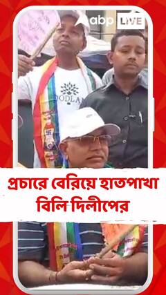 প্রচারে বেরিয়ে নাম, ছবি, দলীয় প্রতীক আঁকা হাতপাখা বিলি দিলীপের