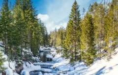 ਗਰਮੀ ਤੋਂ ਚਾਹੀਦੀ ਰਾਹਤ ਤਾਂ ਇੱਥੇ ਜਾਓ ਘੰਮਣ, ਆ ਜਾਵੇਗਾ ਨਜ਼ਾਰਾ !