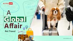 Travelling With Your Pet? Here's A Checklist For Pet Passports And Other Entry Requirements