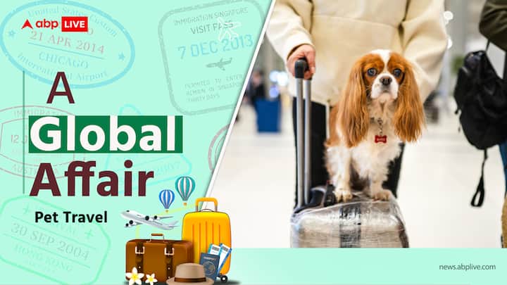 Travel With Your Pet Check Pet Visa Passport Rules Countries That Provide Pet Visa Entry Requirements For Pet Travelling With Your Pet? Here's A Checklist For Pet Passports And Other Entry Requirements