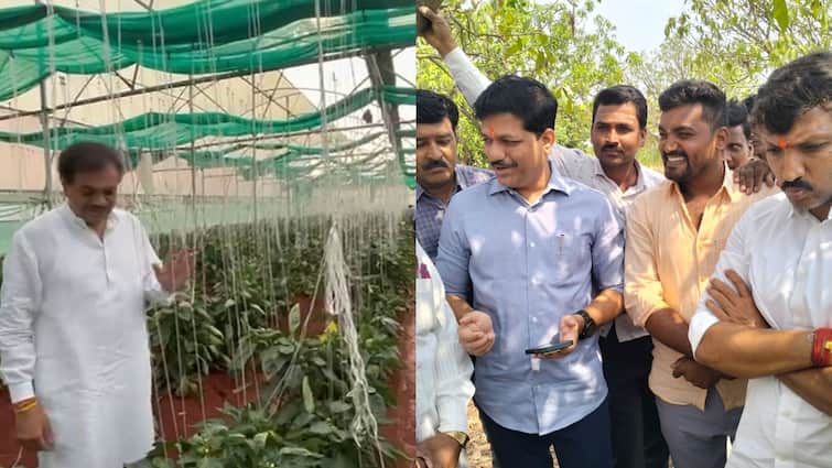 Omraje Nimbalkar and Rana Jagjit Singh Patil inspected the damaged area in Dharashiv  agriculture farmers News एका बाजूला राणा जगजितसिंह तर दुसऱ्या बाजूला ओमराजे, दोन्ही नेते थेट शेतकऱ्यांचा बांधावर