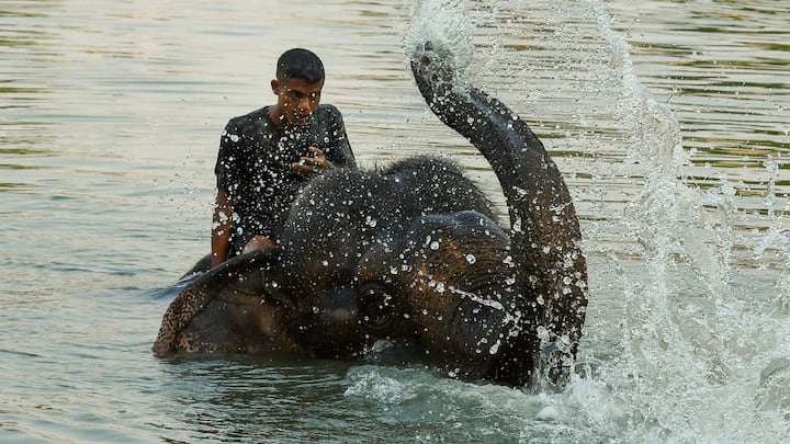 হলুদ সতর্কতা জারি থাকবে উত্তর এবং দক্ষিণ ২৪ পরগনা, হুগলি, নদিয়া জেলায়। গরম এবং অস্বস্তিকর আবহাওয়া বজায় থাকবে কলকাতা ও হাওড়ায়। দক্ষিণ ২৪ পরগনা, পশ্চিম বর্ধমান এবং মুর্শিদাবাদ জেলার কিছু অংশে রাতের তাপমাত্রাও বাড়তে পারে।