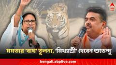 'দিল্লির কুকুর হওয়ার থেকে র‍য়্যাল বেঙ্গল টাইগার হয়ে বাঁচুন', মমতার মন্তব্য নিয়ে শুভেন্দুকে পাল্টা দিলেন অভিষেক