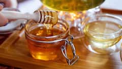 Homemade Hair Mask: চুলে আর্দ্রভাব বজায় রাখতে বাড়িতে কীভাবে তৈরি করবেন হেয়ার মাস্ক? কী কী উপকরণ ব্যবহার করলে পাবেন উপকার?