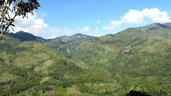 Kodaikanal Farmers fear wild elephants entering farmlands Kodaikanal: விளைநிலங்களில் புகுந்த காட்டு யானைகளால் பயிர்கள் சேதம் - விவசாயிகள் வேதனை