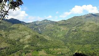 Kodaikanal: விளைநிலங்களில் புகுந்த காட்டு யானைகளால் பயிர்கள் சேதம் - விவசாயிகள் வேதனை