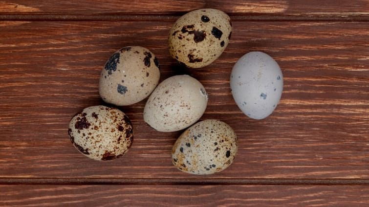 Like chicken humans can also eat snake eggs know what will be the effect on the body Snake Eggs: मुर्गी की तरह सांप का अंडा भी खा सकता है इंसान, जानिए शरीर पर क्या होगा असर