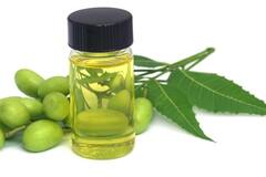 Hair Care Tips: नीम का तेल बालों को बना देगा मजबूत, घना और चमकदार, ऐसे करें इसका इस्तेमाल