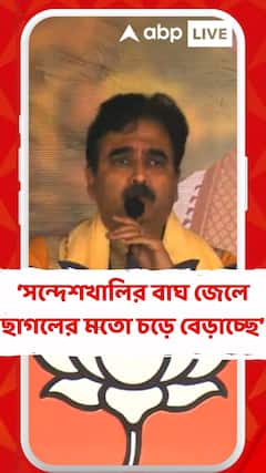 'বাঘ যখন ছাগলের মতো চড়ে বেড়ায় তখন বুঝতে হয় কোনও গন্ডগোল আছে', আক্রমণ অভিজিতের